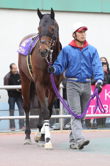 ファイル 53-2.jpg