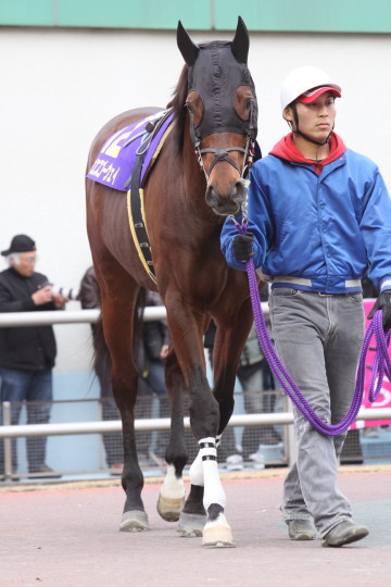 ファイル 53-3.jpg