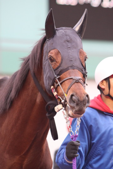 ファイル 53-5.jpg