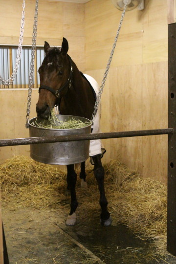 ファイル 54-1.jpg