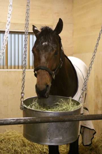 ファイル 54-2.jpg