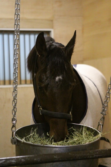 ファイル 54-3.jpg