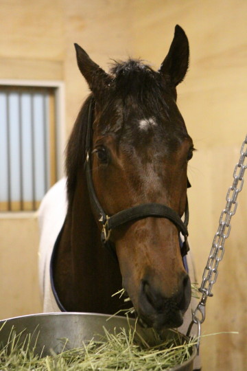 ファイル 54-4.jpg