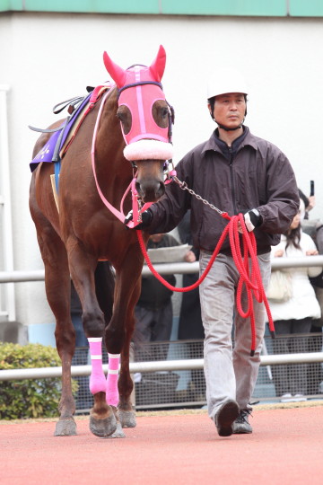 ファイル 63-2.jpg