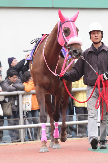 ファイル 63-3.jpg