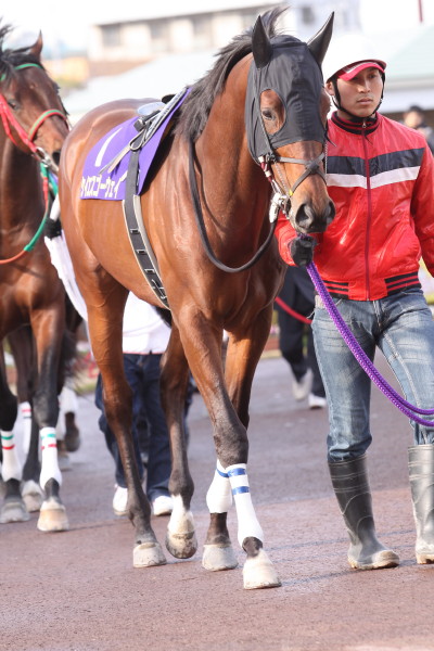 ファイル 65-3.jpg