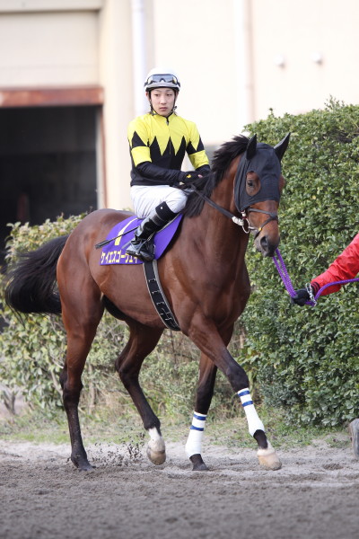 ファイル 66-1.jpg