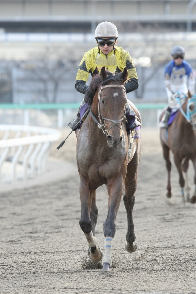 ファイル 67-2.jpg