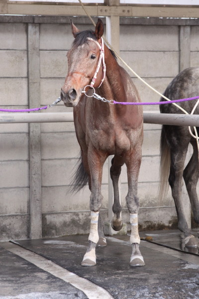 ファイル 67-3.jpg