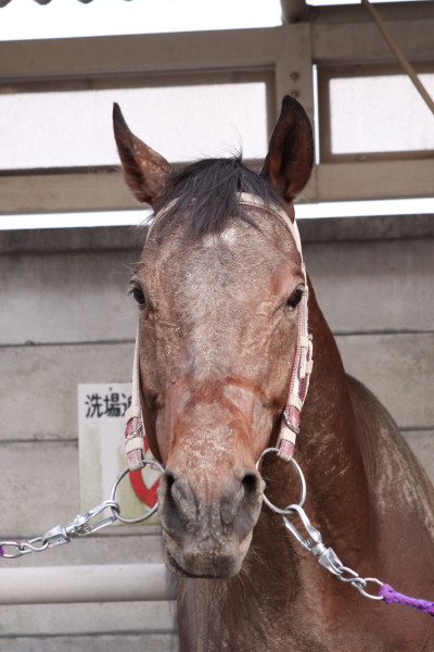 ファイル 67-4.jpg