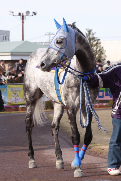 ファイル 68-2.jpg