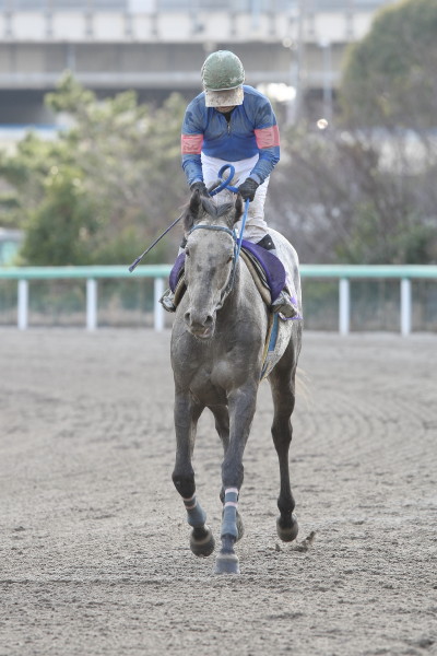 ファイル 69-3.jpg