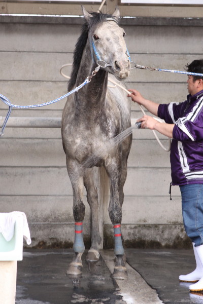 ファイル 69-4.jpg