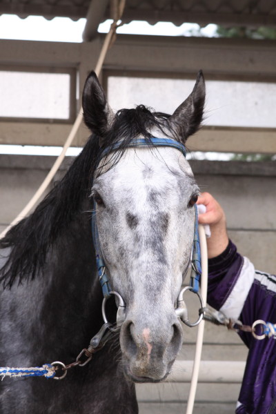 ファイル 69-5.jpg