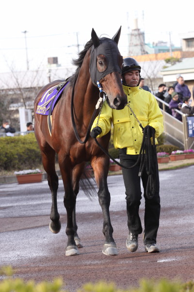 ファイル 70-2.jpg