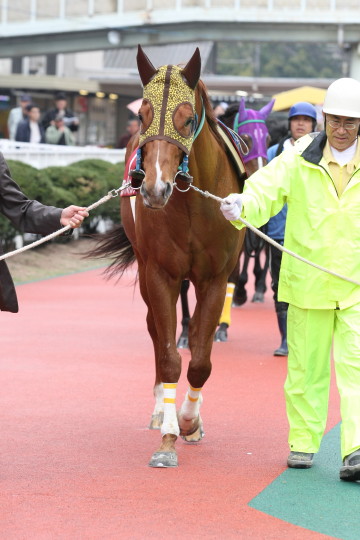 ファイル 74-3.jpg