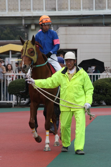 ファイル 74-5.jpg