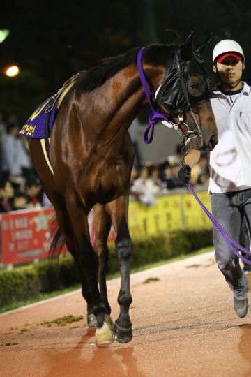 ファイル 8-1.jpg