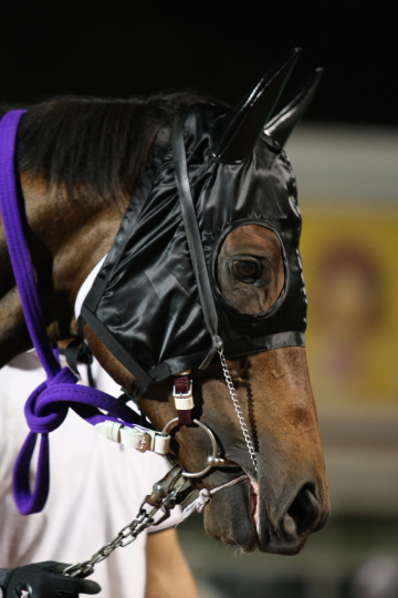 ファイル 8-2.jpg