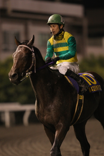 ファイル 8-3.jpg