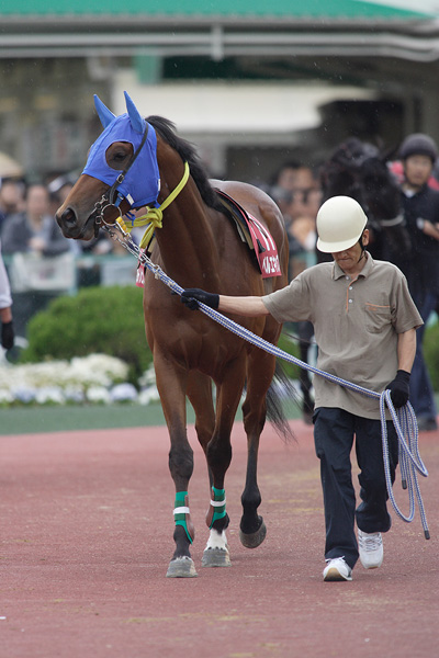 ファイル 90-1.jpg