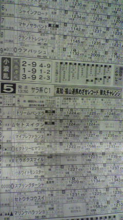 ファイル 5133-1.jpg