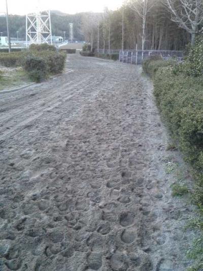 ファイル 379-5.jpg