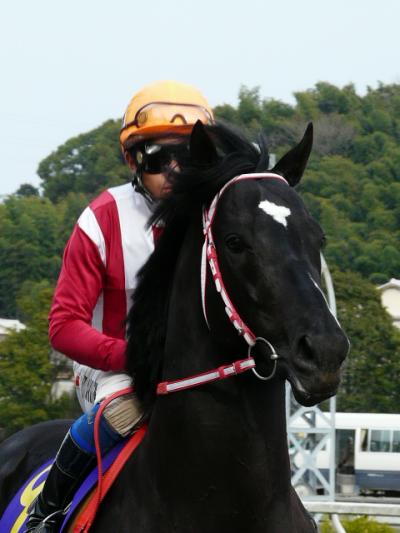 ファイル 380-1.jpg