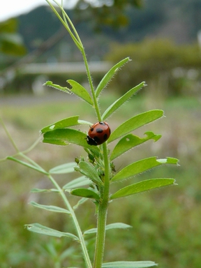 ファイル 141-1.jpg