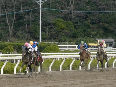 ファイル 146-1.jpg