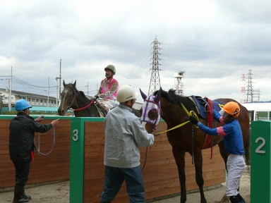 ファイル 146-3.jpg