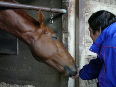 ファイル 164-1.jpg