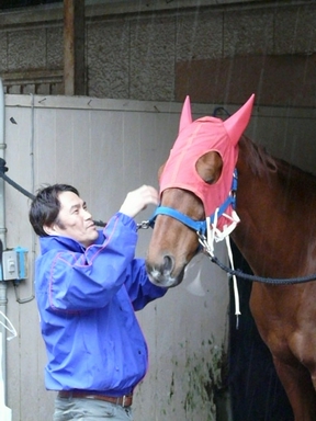 ファイル 164-2.jpg