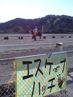 ファイル 17-1.jpg