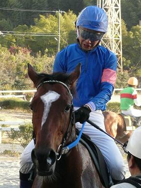 ファイル 26-1.jpg