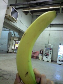 ファイル 262-1.jpg