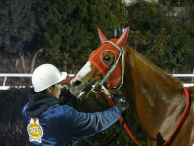 ファイル 294-1.jpg