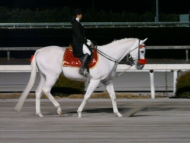 ファイル 294-4.jpg