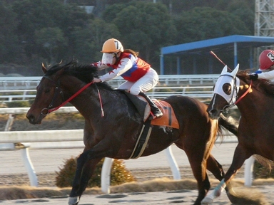 ファイル 301-1.jpg