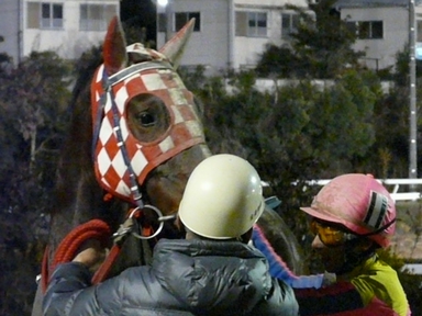 ファイル 301-3.jpg