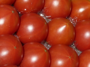 ファイル 303-3.jpg