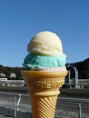 ファイル 304-1.jpg