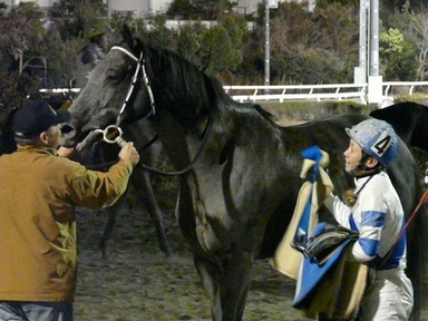 ファイル 305-3.jpg