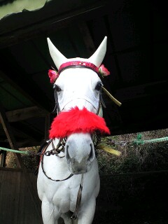 ファイル 307-1.jpg