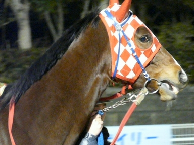 ファイル 308-3.jpg