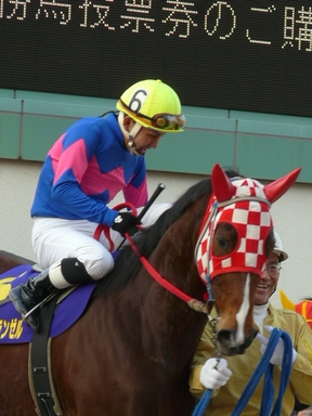 ファイル 309-3.jpg