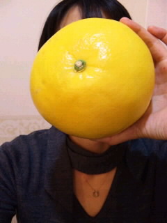 ファイル 312-1.jpg