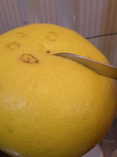 ファイル 312-2.jpg