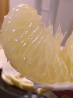 ファイル 312-4.jpg