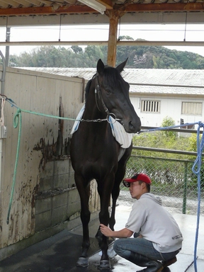 ファイル 318-2.jpg